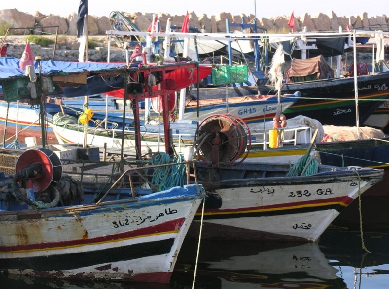 الاقتصاد الأزرق في تونس..   اغتنام الإمكانيات وتفادي المخاطر